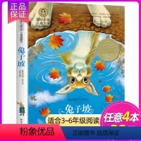 兔子坡 [正版]4本28元铁路边的孩子们国际大奖儿童文学小说五六三四年级课外阅读书籍彩图版小学生读物8-10-12岁故事