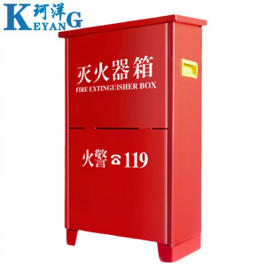 珂洋 灭火器箱 4KG*2 个