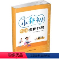语文 小学六年级 [正版]2023年小升初衔接提优教程英语语法专项练习真题训练3-6年级衔接系统总复习单词完形填空必刷题
