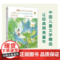 有十二个鸟窝的树