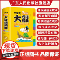 2025小学生大成语词典多功能大全彩图彩色版 一二三四五六年级小学适用 新华字典四字词语解释书 常用实用中华现代汉语成