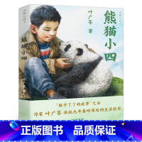 熊猫小四 [正版]熊猫小四 四年级百班千人祖庆说大阅小森 小学生课外书必读书籍 熊猫小四书 北京少年儿童出版社kq48