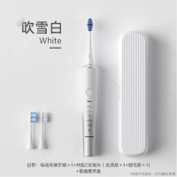 松下(Panasonic)电动牙刷成人科技双马达技术 声波震动 焕光刷情侣礼物自带收纳盒EW-DC70-W 吹雪白
