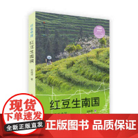 红豆生南国
