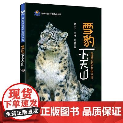 雪豹下天山