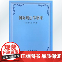 正版国际刑法学原理书 德 格哈德 韦勒 译者 王世洲 德国学者用英文撰写的国际刑法学著作 含有国际刑事法庭的全部判例