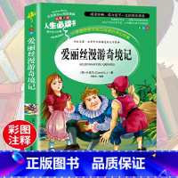[正版]老师爱丽丝漫游奇境记书小学生课外阅读书籍三四五六年级下册必读经典书目快乐读书吧青少年儿童文学故事书梦游仙境