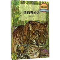 沈石溪激情动物小说情豹布哈依