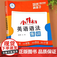 小升初英语语法专项训练全套 小学生英语法知识大全3-6年级系统总复习六升七年级阅读理解专项训练人教版总复习初中必刷题真题