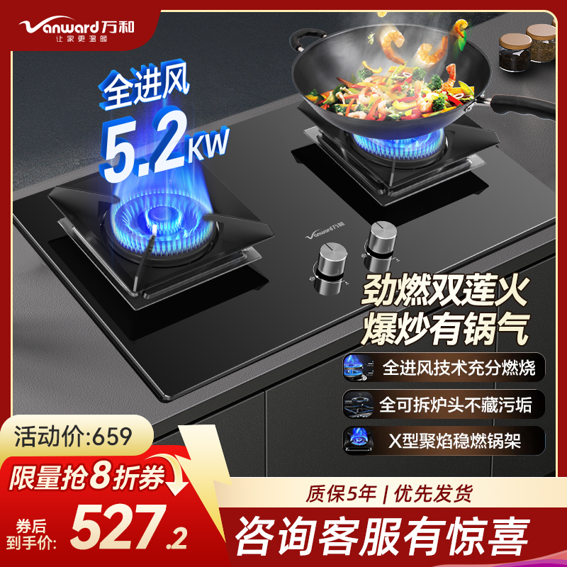 万和(Vanward) 一级能效 天然气双灶 双眼燃气灶 单灶具 5.2KW火力钢化玻璃 可调底座C5L90S