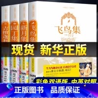 [官方正版 全4册]泰戈尔诗集全集 [正版] 新月集飞鸟集园丁集泰戈尔吉檀迦利全4册 英文完整双语版 中英对照带插图原版