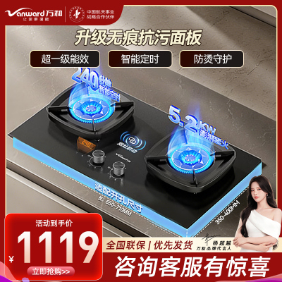 万和(Vanward)[超省星G9·定时无印面板]燃气双灶具5.2kW70%热效率烟灶家用定时关火煤气炉G9L56天然气