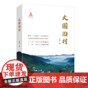 大国治村 李英 浙江文艺出版社 正版书籍
