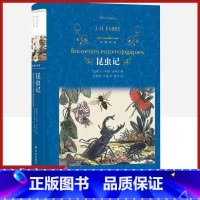 [正版]经典译林 昆虫记精装版 法布尔原著译林出版社外国现当代经典小说读物世界名著初高中小学生课外阅读世界书儿童文