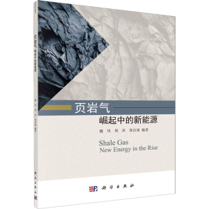 醉染图书页岩气 崛起中的新能源9787030642011
