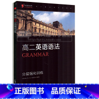 [正版]高二英语语法 分层强化训练黑皮英语系列 高中英语专项练习分题型强化 高中语法基础知识大全训练 高中英语语法专项