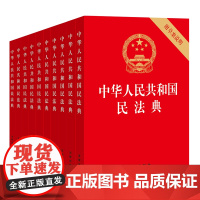10本套装 中华人民共和国民法典 附草案说明 32开 压纹烫金版 法律出版社
