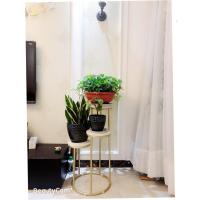 家柏饰(CORATED)北欧花架客厅现代花架子简约绿萝落地式轻奢多层置物架室内花盆架 四层金色 特大