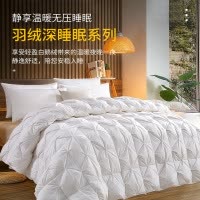 高端全棉白鹅绒羽绒被冬季加厚双人五星级酒店鹅绒被芯被子