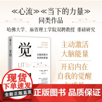 觉照 内观自我与世界的智慧 杰夫·卡普 著 励志与成功 正念 当下的力量 心流 励志与成功 中信书店