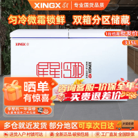 星星(XINGX)315升商用家用双温 冰柜 冷藏冷冻转换冷柜 商用保鲜设备展示柜 顶开门冰箱 BCD-315JE
