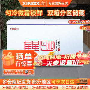 星星(XINGX)315升商用家用双温 冰柜 冷藏冷冻转换冷柜 商用保鲜设备展示柜 顶开门冰箱 BCD-315JE