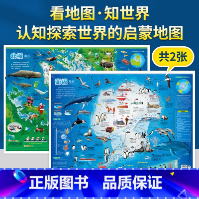 [正版]8块8购4张全新版儿童房挂图系列南极和北极地区墙贴儿童房大小尺寸地理百科知识高清挂画撕不烂初中小学生中华地图册