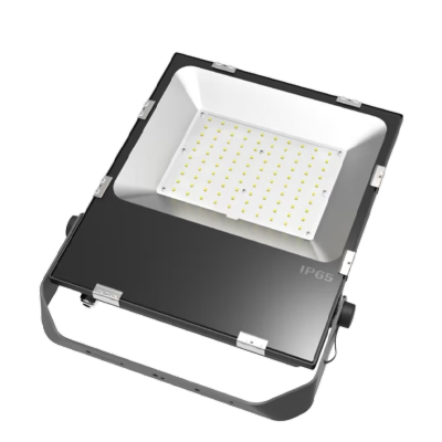 华光毅 HYSF2101 LED三防灯 100W(计价单位:台) 黑色