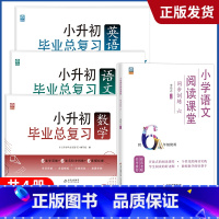 小升初+阅读课堂 小学升初中 [正版]2023小升初系统总复习真题卷必刷题人教版复习资料模拟试卷小学毕业总复习冲刺专题卷