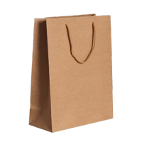 海亚森 TK-9224 25x33x11cm 竖式牛皮纸文件袋 10个/包