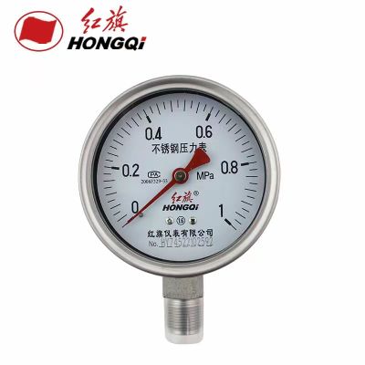 红旗 不锈钢压力表定制检测款 Y100BF 0-1MPa 块