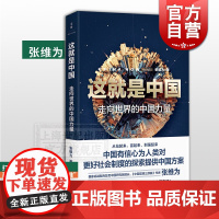这就是中国 走向世界的中国力量 中国震憾三部曲张维为新作 解读中国奇迹 中国模式 另著文明型国家 上海人民出版社