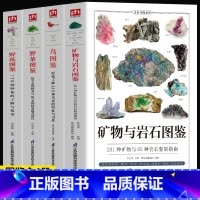 [正版]4册 矿物与岩石图鉴 231种矿物与65种岩石鉴别指南 鸟图鉴 野菜图鉴野花图鉴 收藏爱好者鉴别指南自然科学读