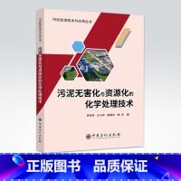 [正版]污泥无害化与资源化的化学处理技术 污泥处理技术与应用丛书 污泥处理技术与应用丛书 9787511452443 中