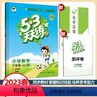 数学 六年级下 [正版]2023春新版 53天天练六年级下册数学北师大版BSD小学6年级下册数学书同步训练练习册试卷测试