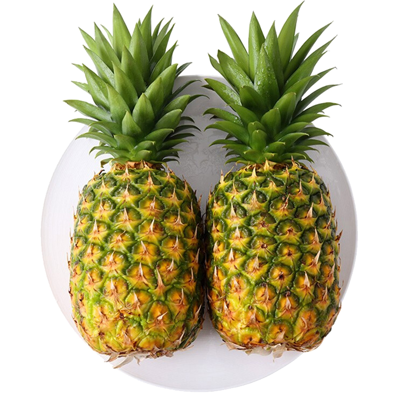 我们为您提供金钻凤梨的优质评价,包括金钻凤梨商品评价,晒单,百万