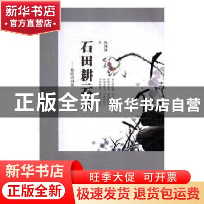正版 石田耕云录:穆鸥诗词集 陈湘迪著 现代出版社 9787514368307