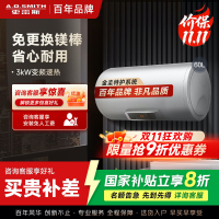 AO史密斯60升电热水器 专利免更换镁棒 金圭内胆 速热节能 纤美长款 大屏E60VC0 一级能效