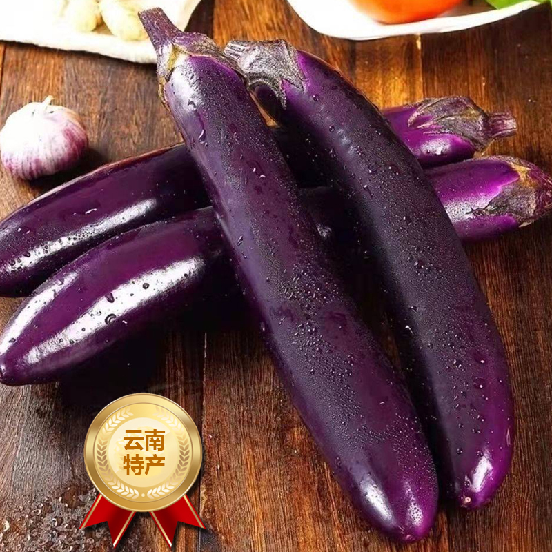 [西沛生鲜]新鲜紫茄子长茄子 净重2.5斤装 农家自种长线大茄子黑嫩现摘蔬菜