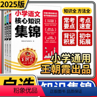 语文数学英语3册 [正版]2025小学核心知识集锦一二三四五六年级小升初语文数学英语基础知识大盘点考点夺冠知识大集结归纳