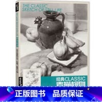 [正版]书豪图书直发经典全集经典素描静物杨建飞麦粲杰联考单个单体结构体块临本范本