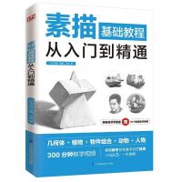 正版新书]素描基础教程从入门到精通王金9787571310981