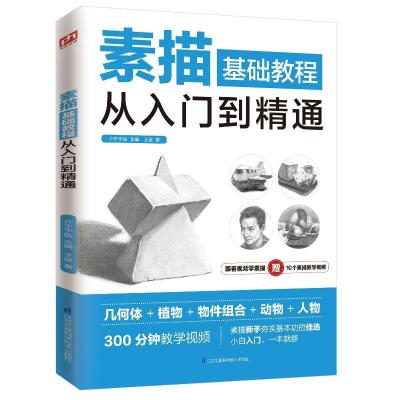 正版新书]素描基础教程从入门到精通王金9787571310981