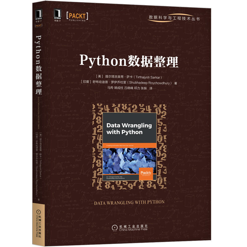 音像Python数据整理/数据科学与工程技术丛书