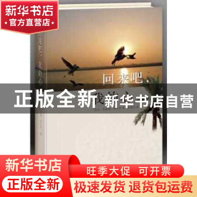 正版 回来吧,我的心 (埃及)优素福·西巴伊著 华文出版社 9787507