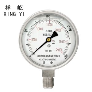 祥屹 不锈钢耐震压力表检测定制型 YTN100BF 块