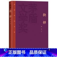 [正版] 抉择 精装版 茅盾文学奖获奖作品全集 张平著 人民文学出版社