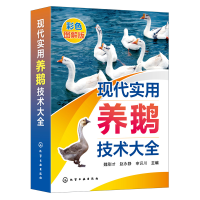 醉染图书现代实用养鹅技术大全9787122421296