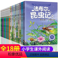 全套18册昆虫记 [正版]全套18册法布尔昆虫记合集 小学生课外阅读书籍注音版儿童6-9-10-12周岁读物绘本故事一二