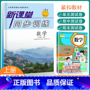 人教版数学 六年级上 [正版]新课堂同步训练数学六年级上册同步辅导练习册人教版专项训练基础